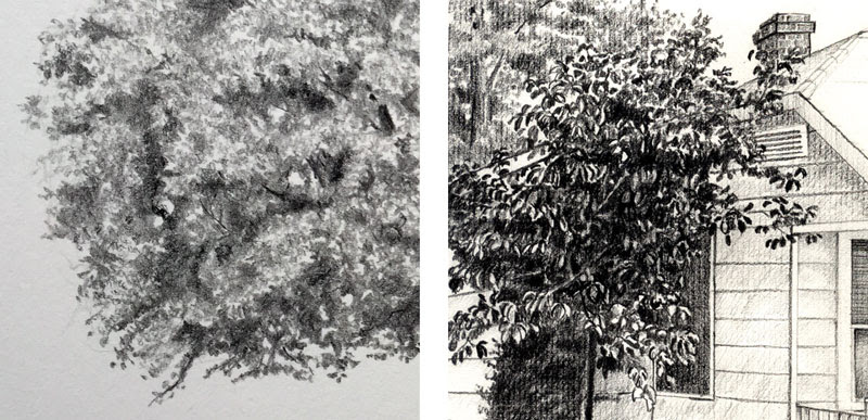 Leaf Texture Drawing / Body drawing drawing base anatomy drawing manga