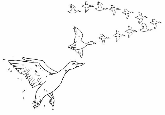 Disegni Di Uccelli Che Volano Stampae Colorare