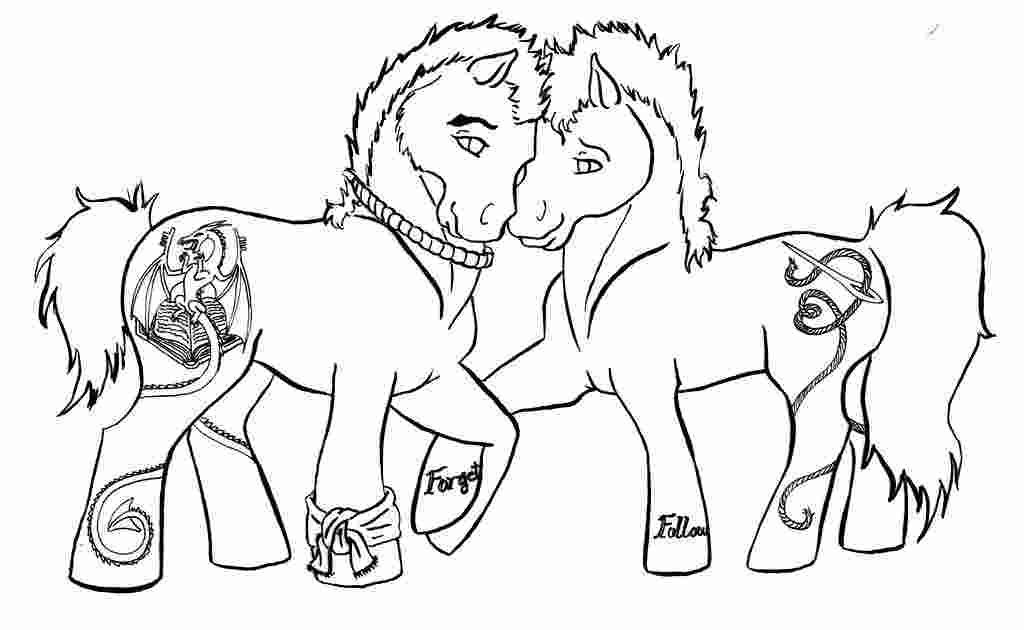 Gypsy Vanner Horse Coloring Pages - Make Wonderful World With Coloring