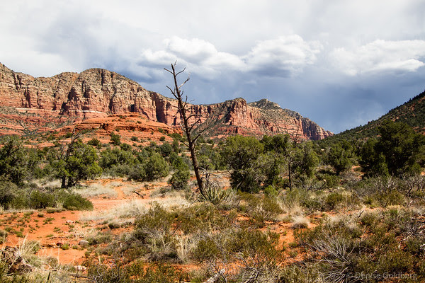 red rocks and trees under clouds