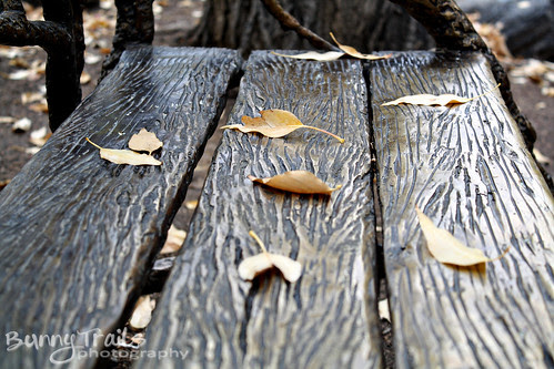 296-bench leaves
