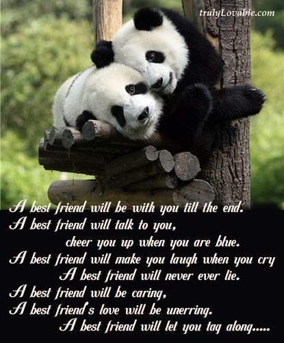 Poems for best friends soulmate Soulmate Poems,