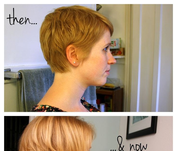 Should I Get A Short Hair - All you need to know about short hair!