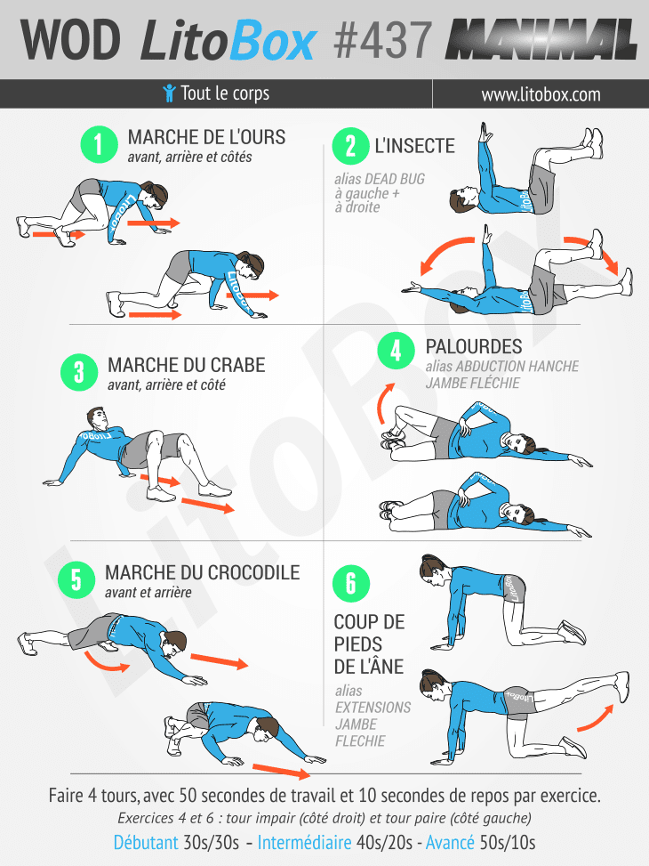 Exemple De Wod Sans Materiel  jaripiro