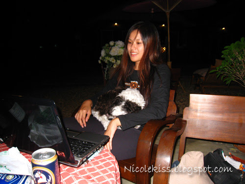 chatting and blogging with panda