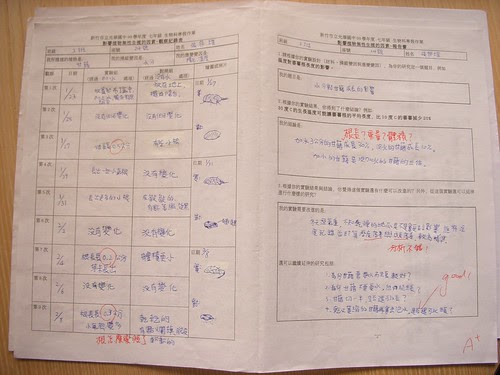 DSCN3306.JPG