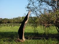 Free Image Hosting at www.ImageShack.us
