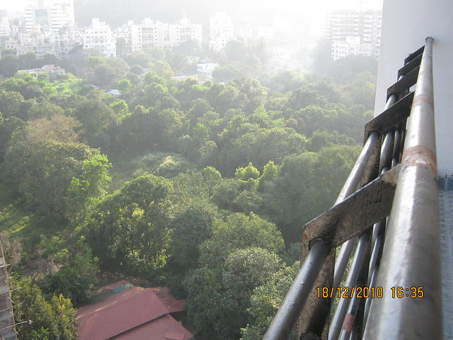 Visit to Aurum Developers and Sanskruti Group's Allure 2.5 BHK - 3 BHK Flats behind Shree Bal Developers' Kapil Malhar and near Kapil Tranquil Greens on Baner Road Pune 411 045 - View from Shree Bal Developers' Kapil Tranquil Greens - Greenery in Baner