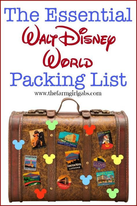 best type of bag to take to disney world