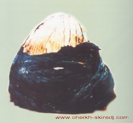 sorban nabi