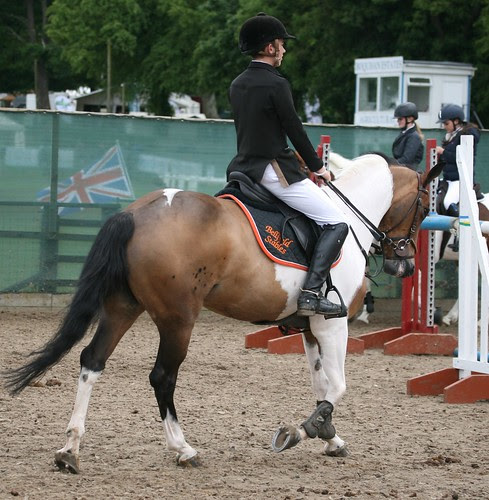 Showjumping