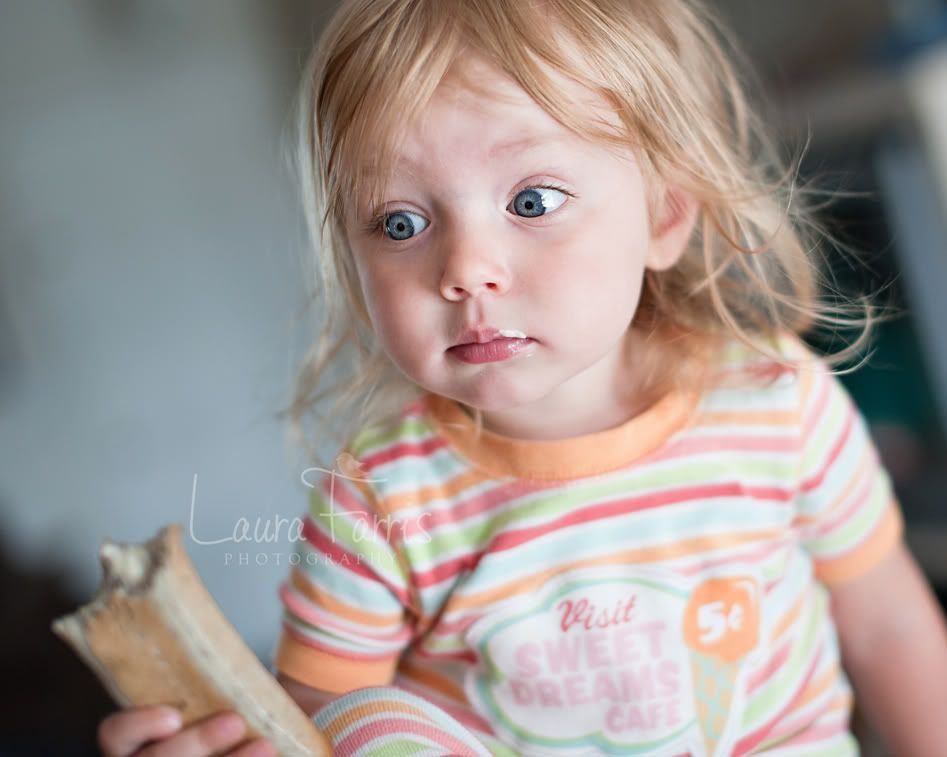 boise baby photographer