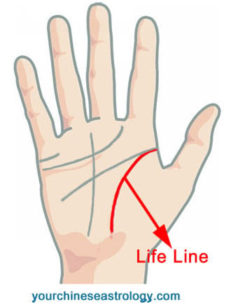 Palm Reading - Life Line