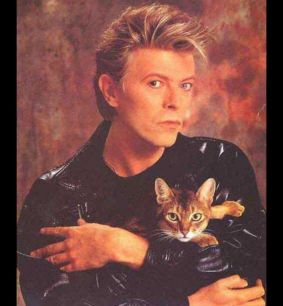 David Bowie