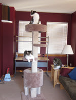 Tower Inspection