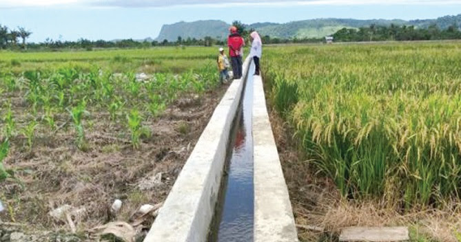 Petani Diminta Maksimalkan Pengelolaan Air Irigasi Agroindonesia