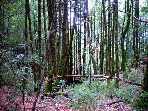 DSCN4328.JPG