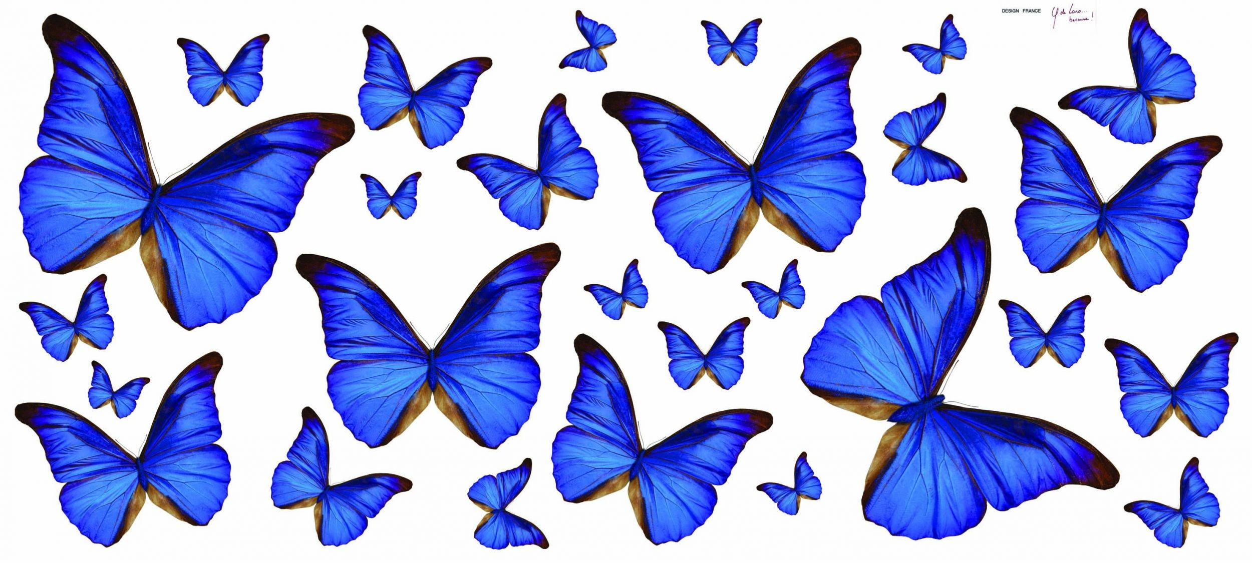 Featured image of post Blue Butterfly Wallpaper Aesthetic Computer / Here are only the best butterfly desktop wallpapers.