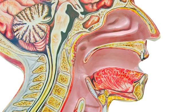 Image Copyright: Gam1983 / Shutterstock Image Copyright: Gam1983 / Shutterstock