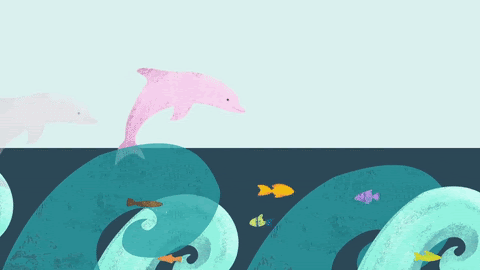 Ocean Animals Cartoon Gif - digiphotomasters