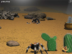 screencap of Smith, Kai's virtual Red
Kneed Tarantula