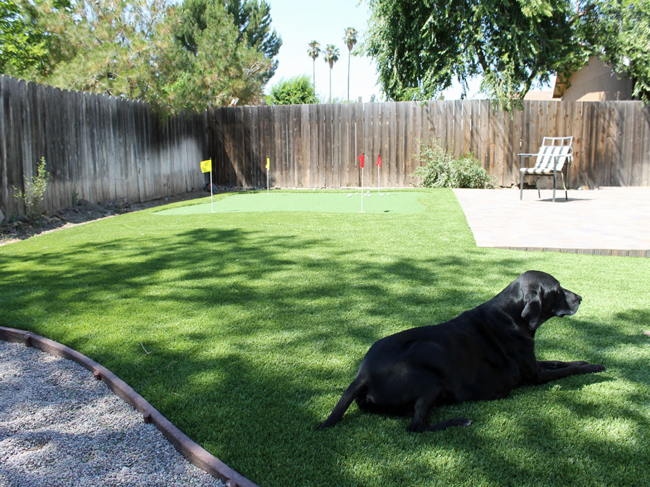 Turf Grass Garnet California Backyard Playground Backyard Design