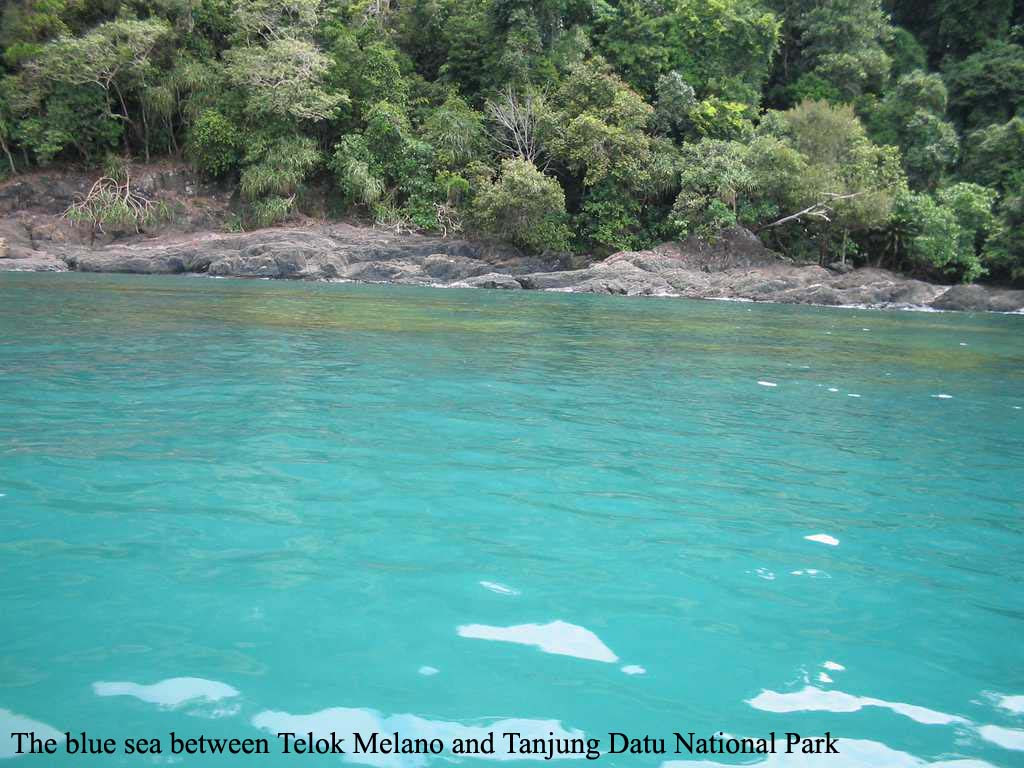 One Very Short Life: Part 1: Tranquil and Pristine Tanjung Datu