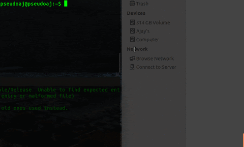 Bash demo