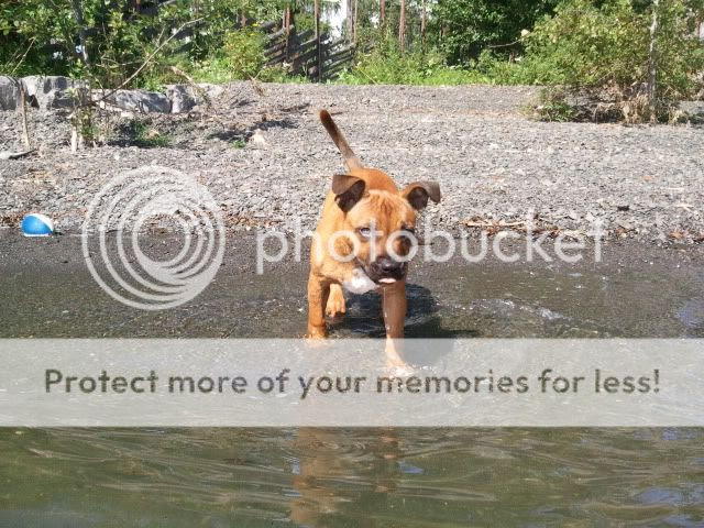 Photobucket