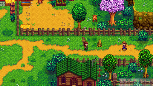 Stardew Valley Features