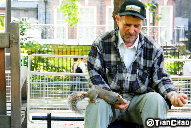 An uncle that can get so close with the squirrels and birds that get food from both his hands. The bird will fly down to his left hand for food! An uncle that can get so close with the squirrels and birds that get food from both his hands. The bird will fly down to his left hand for food!