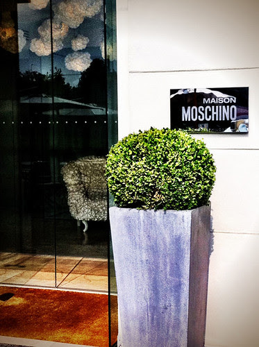Maison Moschino!!