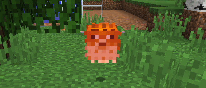 最高のマインクラフト ベストマイクラ 魚 種類