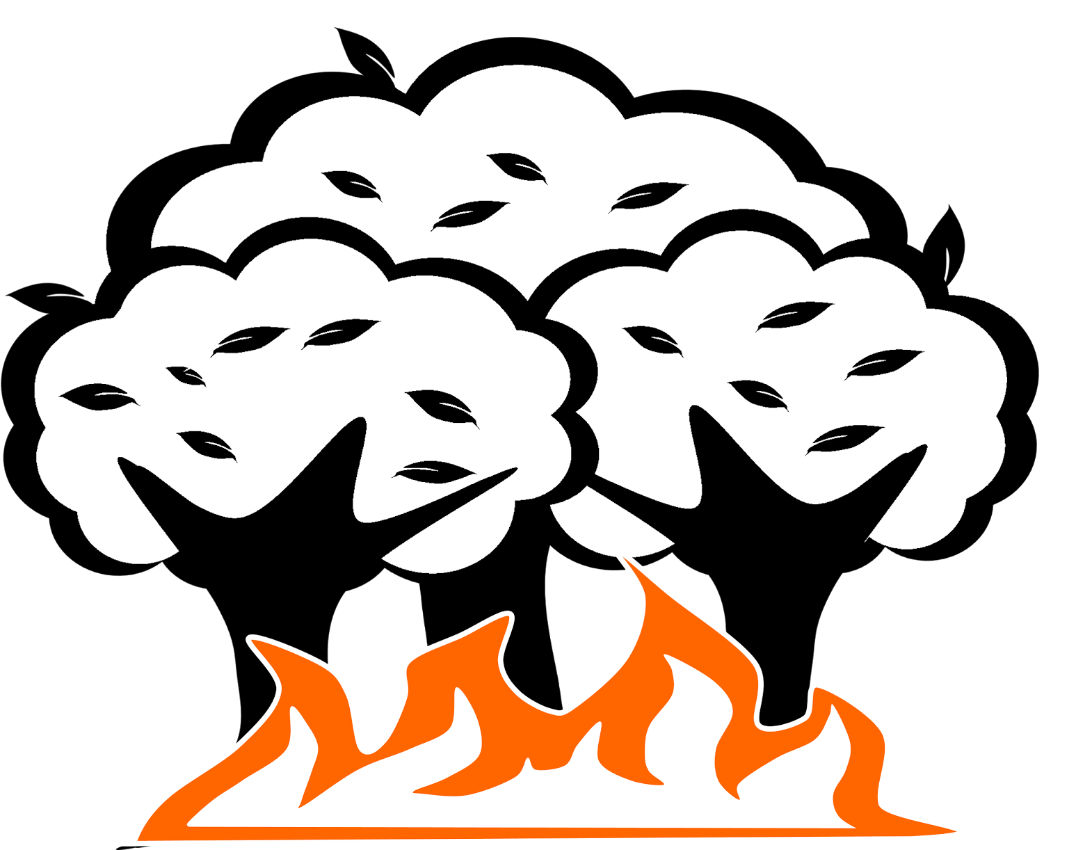 20+ Latest Drawing Forest Fire | Barnes Family