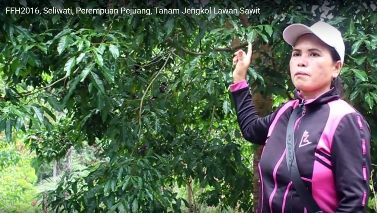 Seliwati, Perempuan Pejuang Tanaman Jengkol untuk Lawan Sawit ...