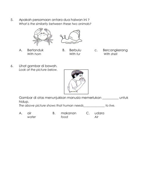 Latihan Sains Tahun 2 Keperluan Asas Tumbuhan  Images Nomor Siapa