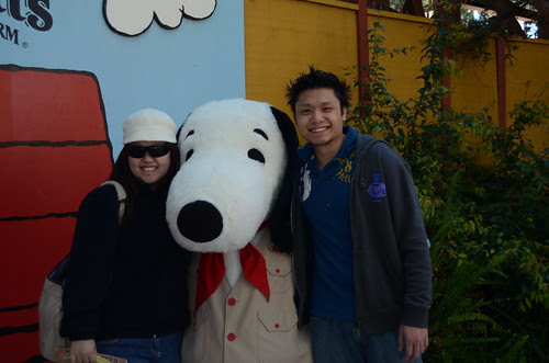 knotts berry farm