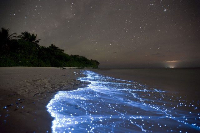 the glittering shore at Vaadhoo, Maldives