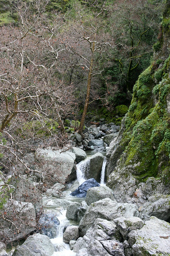 falls
