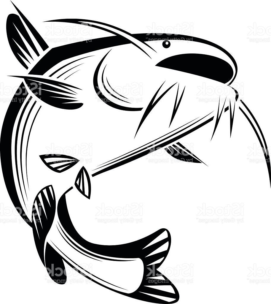 Vektor Ikan Lele Png