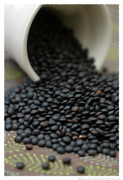 Mt Byron Black Lentil© by Haalo