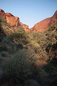 Free Image Hosting at www.ImageShack.us