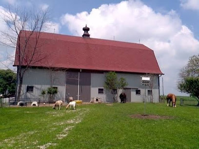 Buck Creek Farm Indy