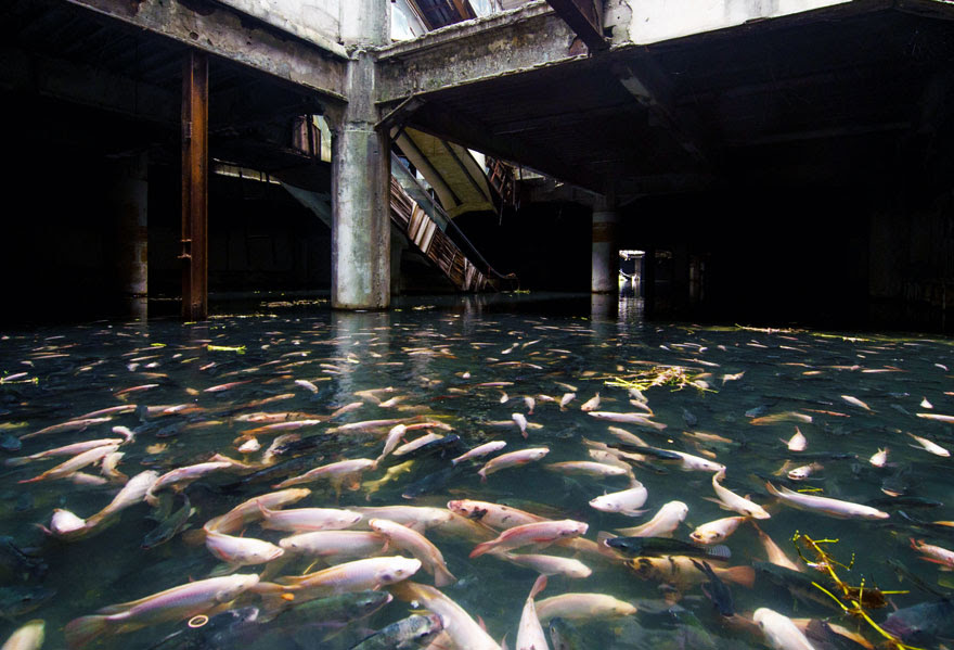 nature-reclaiming-abandoned-places-23