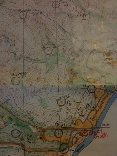 photo.JPG