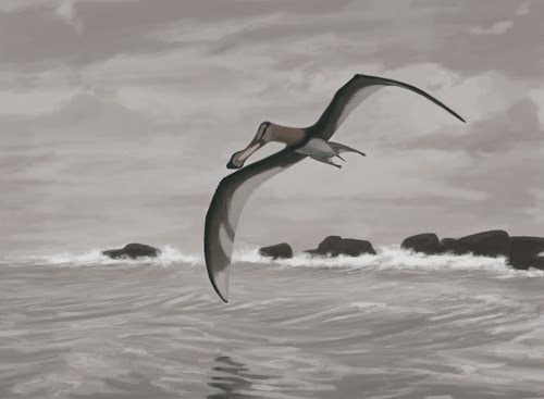 end of cretaceous period