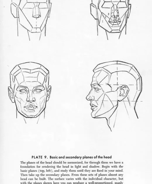 3d human drawing model
