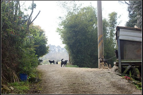 DSC04106