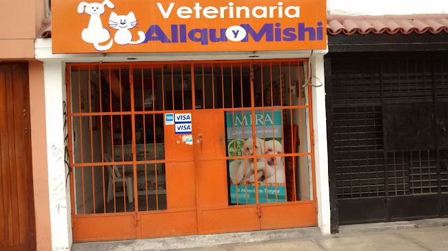 Av. Mariano H. Cornejo 1642, Pueblo Libre 15088, Perú