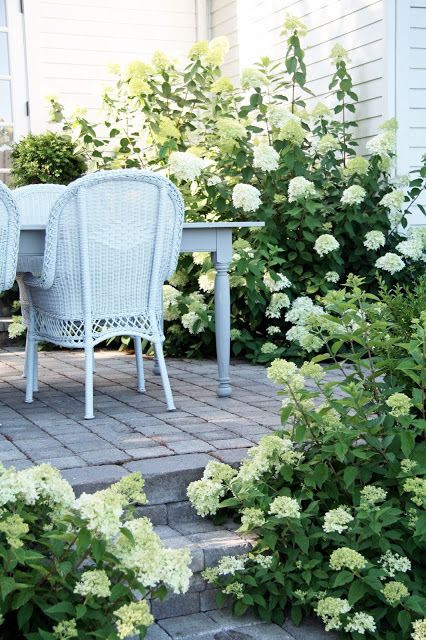 Limelight and Little Lime Hydrangeas from A Country Farmhouse blog